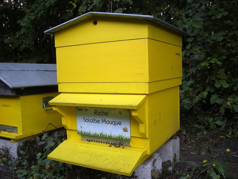 La ruche Sololbe Mouque